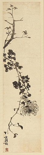 3.오원 장승업, 국화菊花, 19세기, 한지에 수묵담채, 114×28cm, DIMA M.O.A 소장